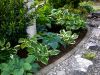 Bild Nr. 28